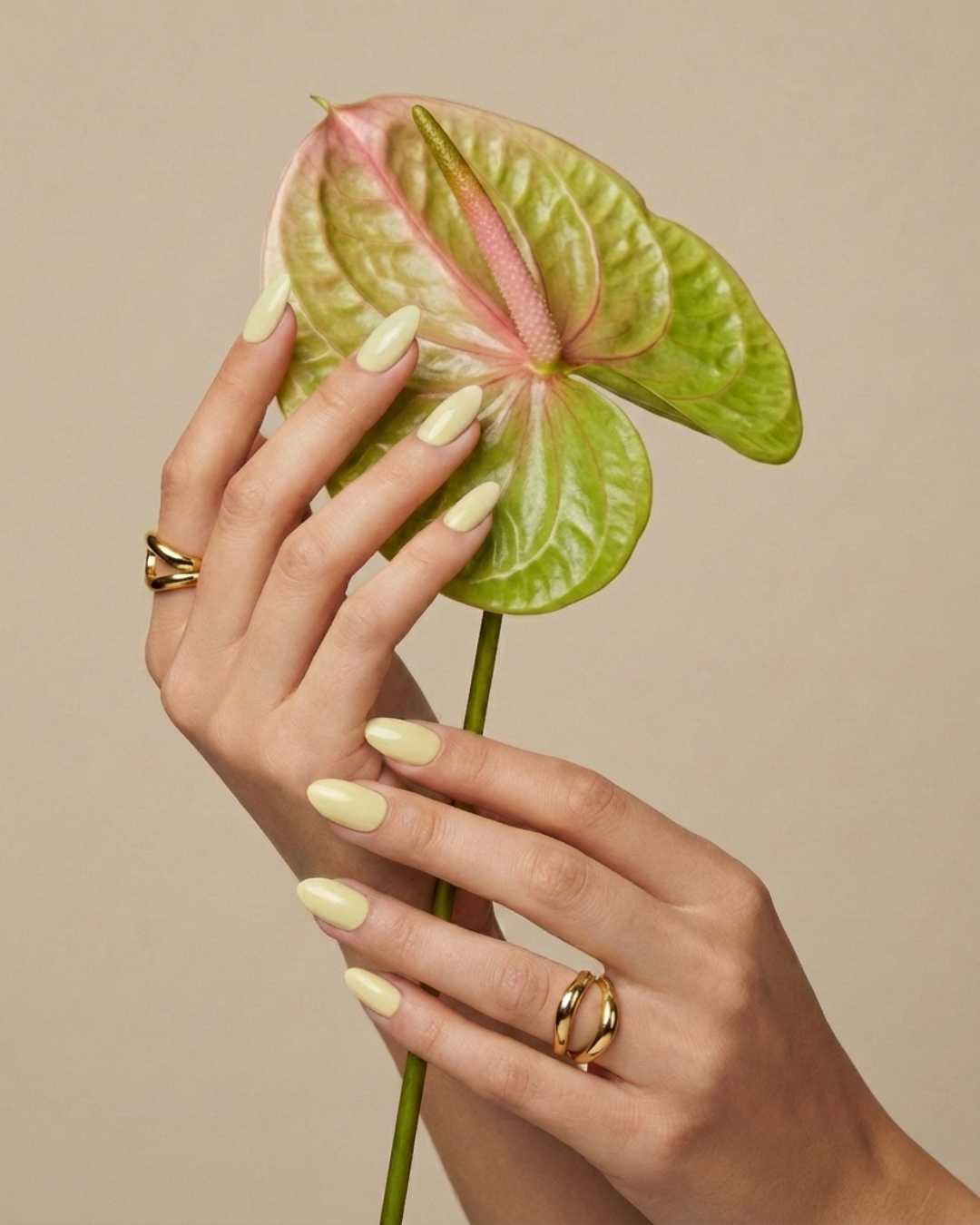 GOLDEN MEADOW - stredné, mandľové – Obrázok 3